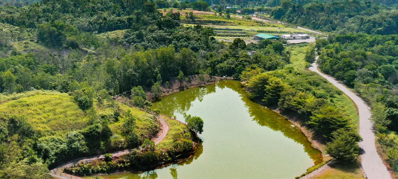Terrain photograph published in Nirvana's official Karak e-book